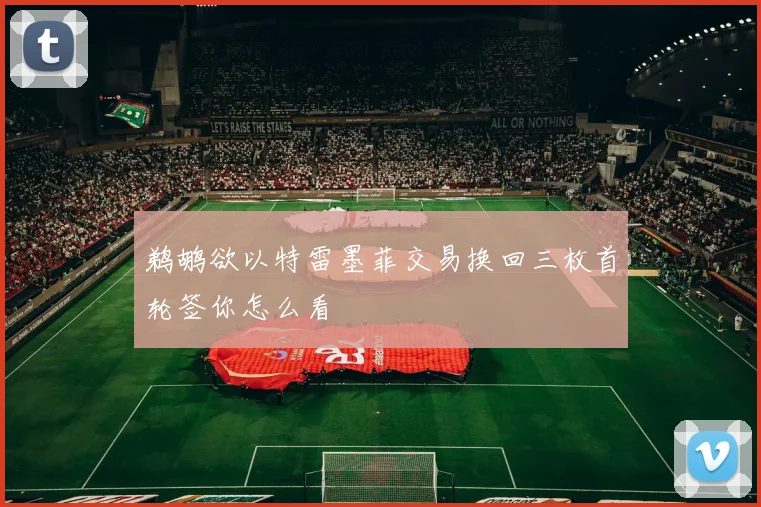 鹈鹕欲以特雷墨菲交易换回三枚首轮签你怎么看
