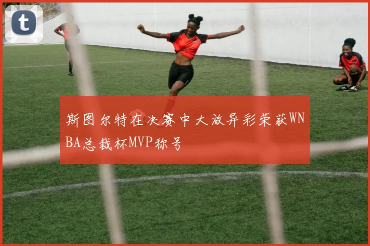 斯图尔特在决赛中大放异彩荣获WNBA总裁杯MVP称号